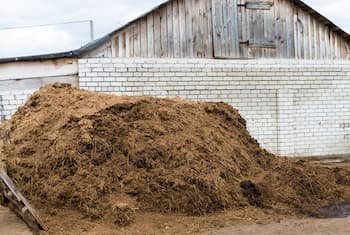 Manure: What You Need to Know – Benefits of This Fertilizer