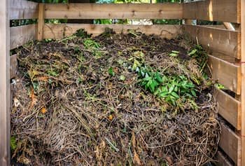 Benefits of Composting – Starting a Home Compost Bin for Beginners