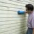 Best Cleaner for Vinyl Siding Cleaning and Maintenance